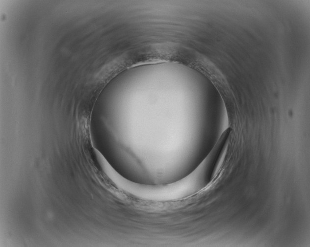 X0000086070045200703301117