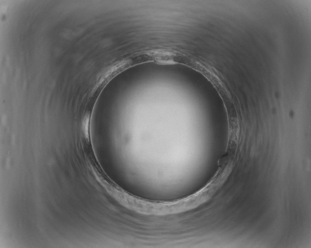X0000086070047200703301117
