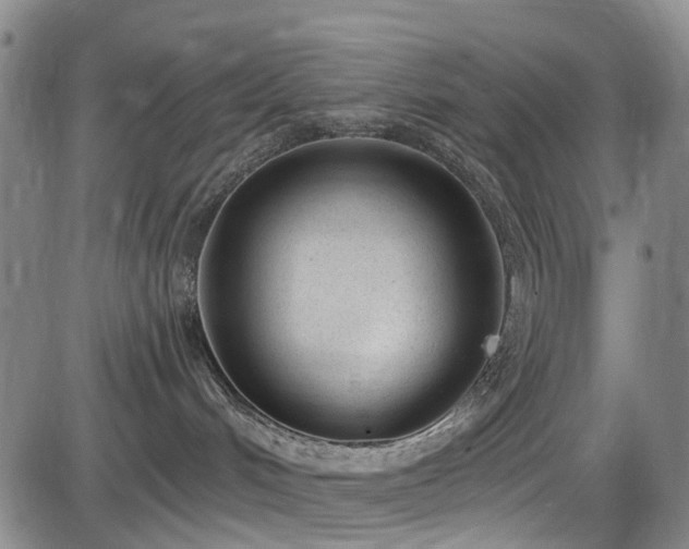 X0000086070048200703301117