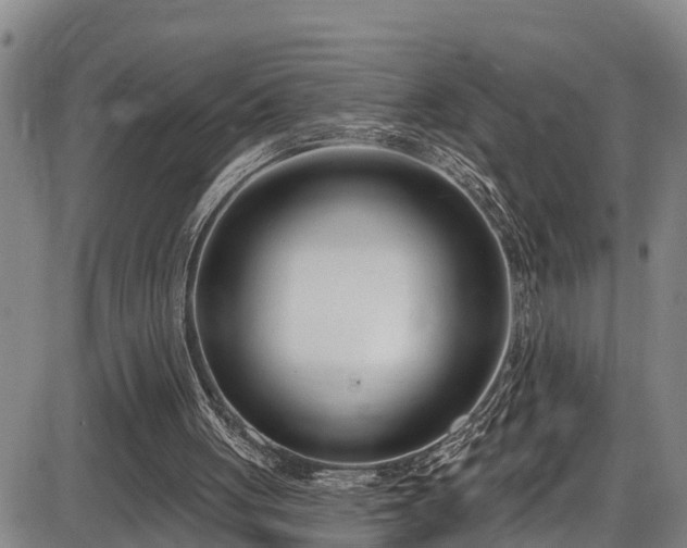 X0000086070051200703301117
