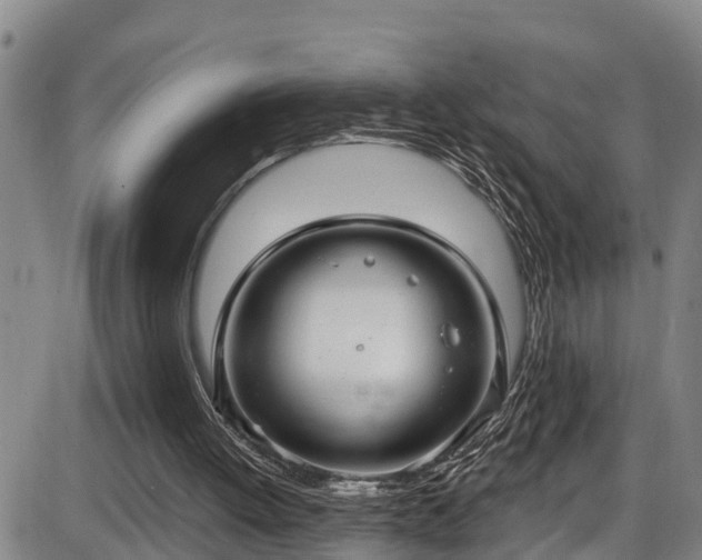 X0000086070052200703301117