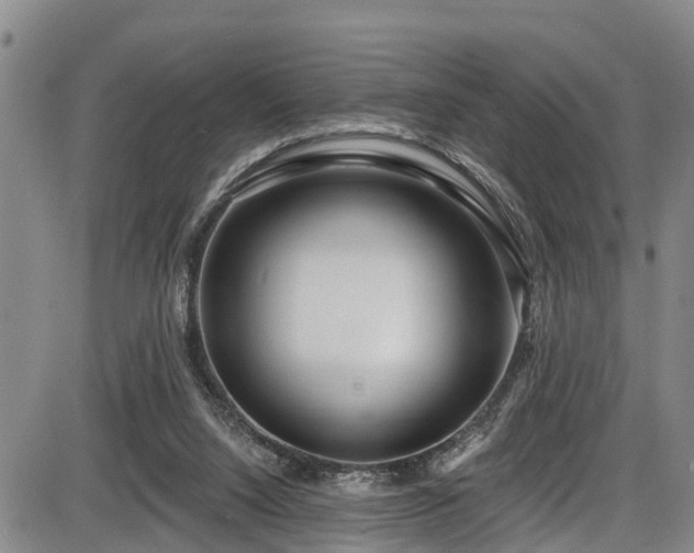 X0000086070064200703301117