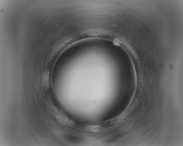 X0000086070066200703301117