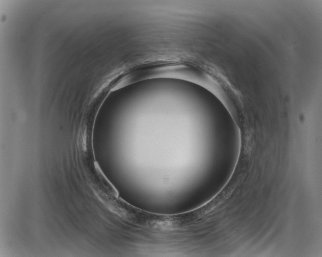 X0000086070068200703301117