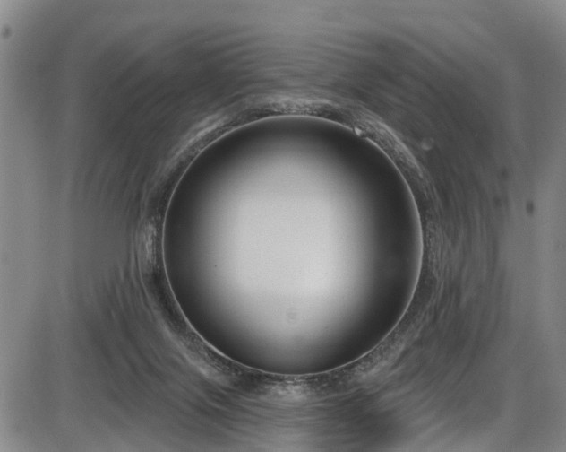 X0000086070071200703301117