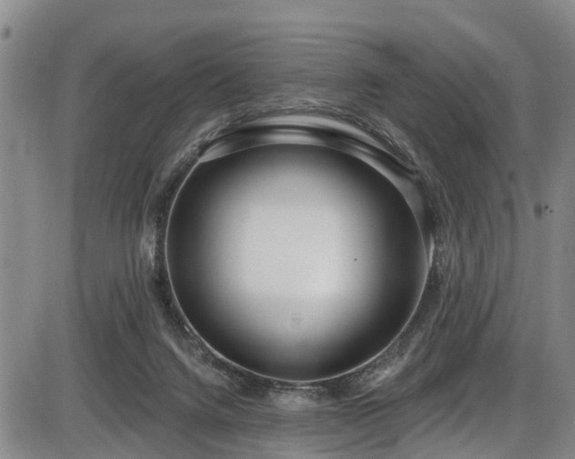X0000086070072200703301117