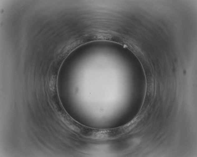 X0000086070078200703301117