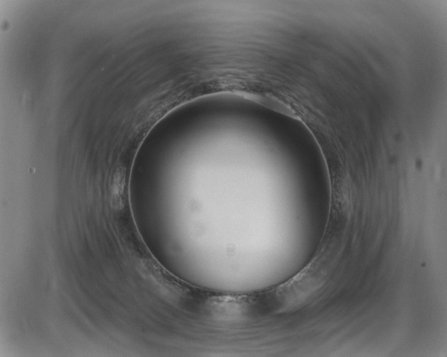X0000086070082200703301117