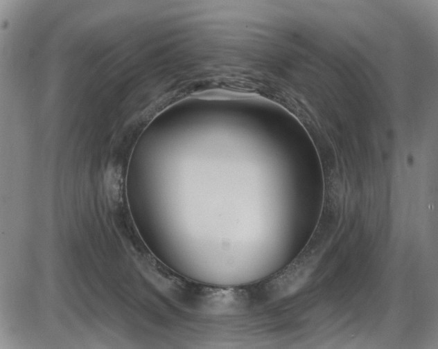 X0000086070083200703301117