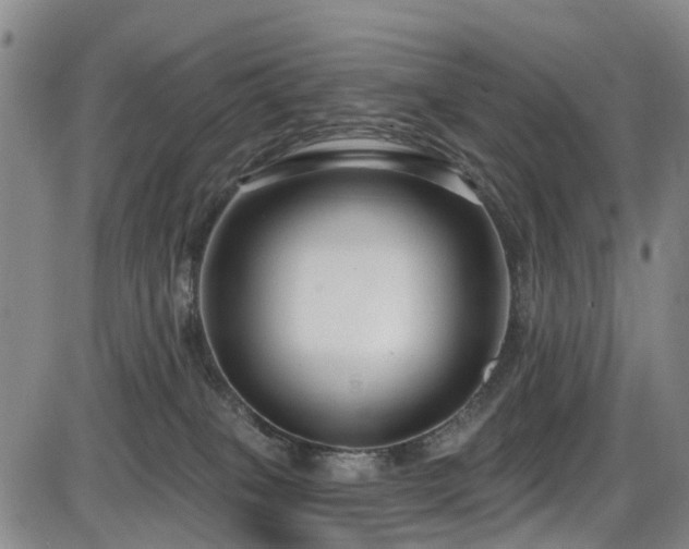 X0000086070085200703301117