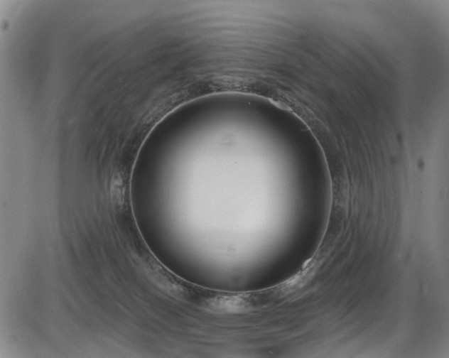 X0000086070086200703301117