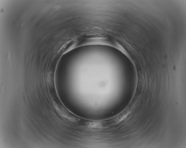 X0000086070088200703301117