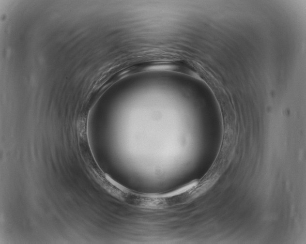 X0000086070096200703301117