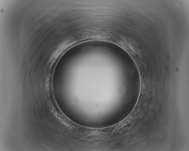 X0000086070098200703301116