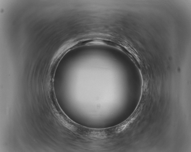 X0000086070101200703301116
