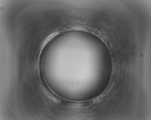X0000086070104200703301116