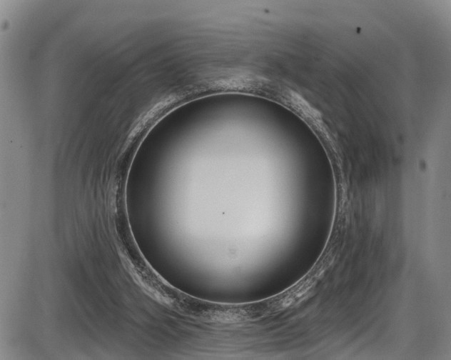 X0000086070106200703301116