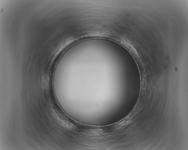 X0000086070108200703301116