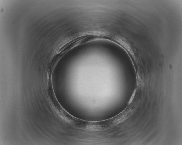 X0000086070109200703301116