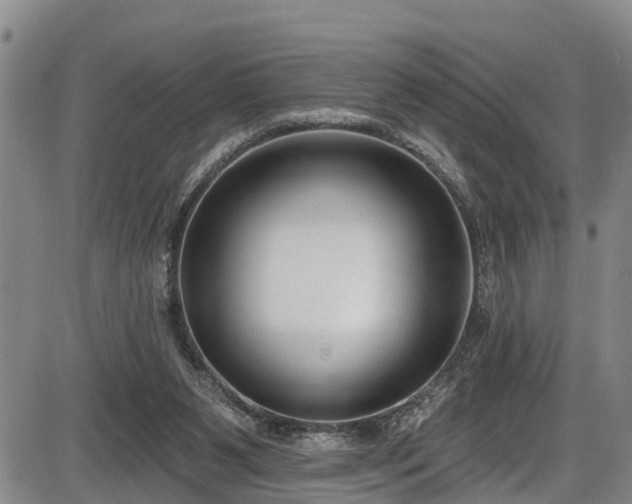 X0000086070111200703301116