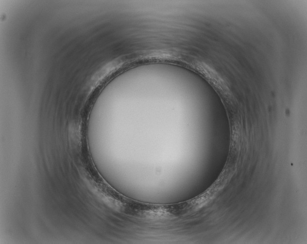 X0000086070112200703301116