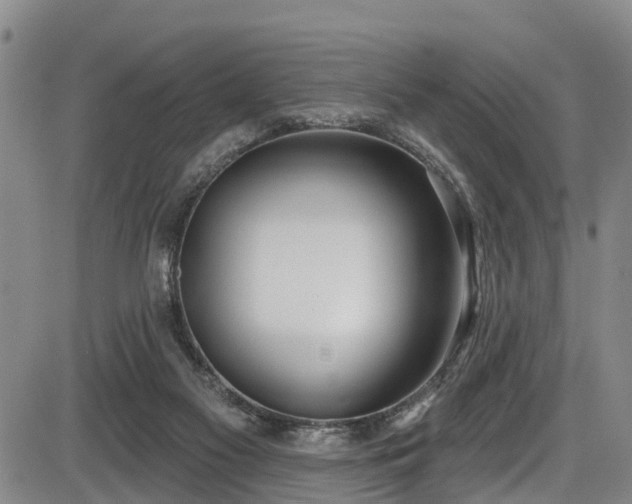 X0000086070117200703301116