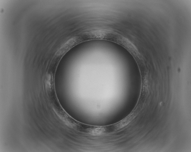 X0000086070122200703301116