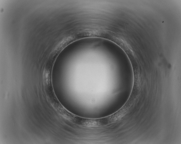 X0000086070123200703301116