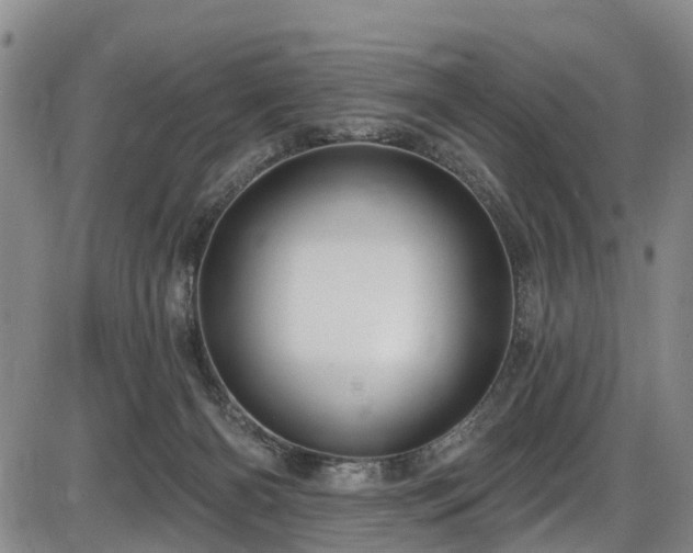 X0000086070126200703301116
