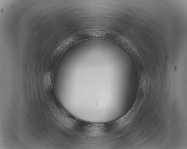 X0000086070128200703301116