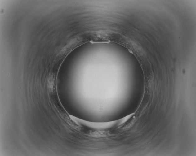 X0000086070129200703301116