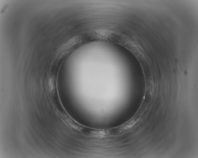 X0000086070131200703301116