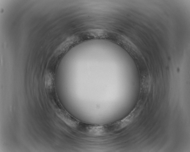 X0000086070132200703301116