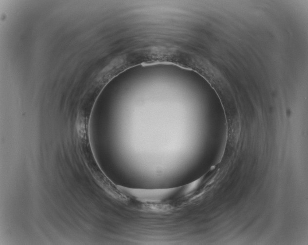 X0000086070137200703301116