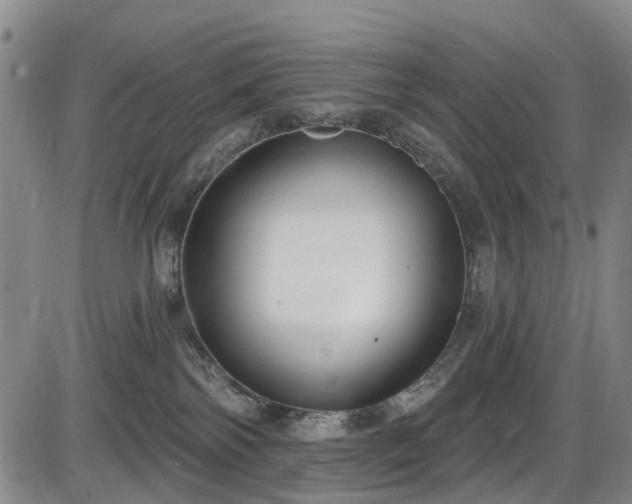 X0000086070138200703301116