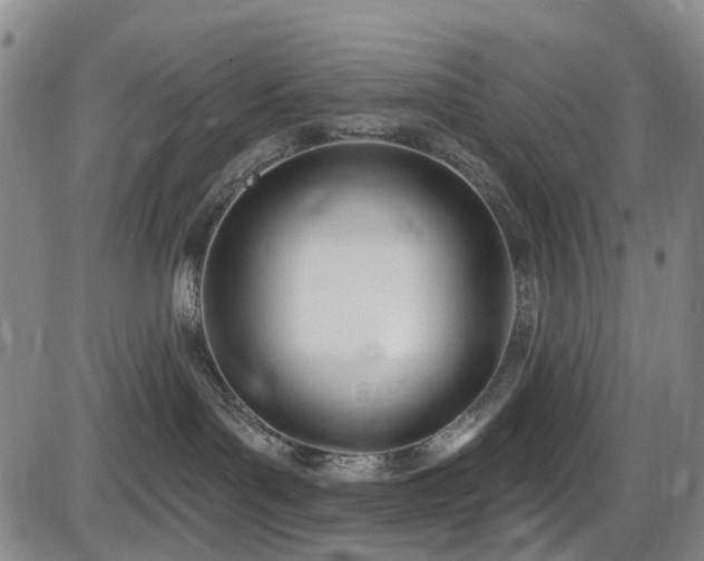 X0000086070143200703301116