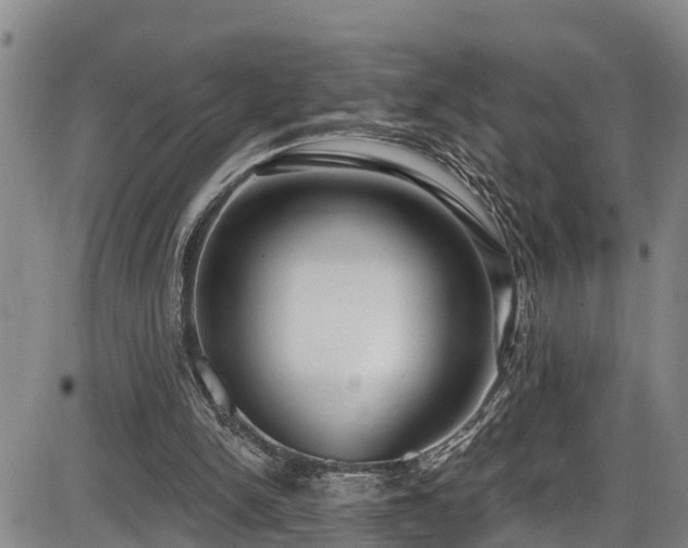 X0000086070150200703301115