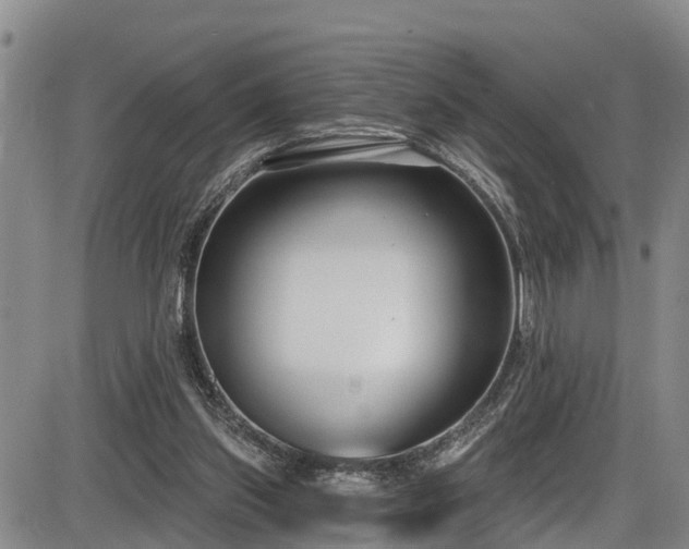 X0000086070157200703301115