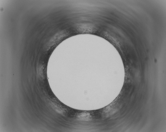 X0000086070162200703301115