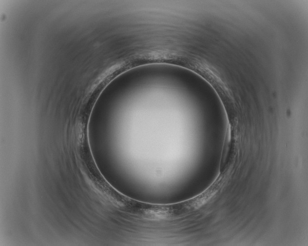 X0000086070164200703301115