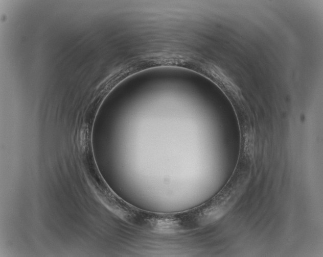 X0000086070165200703301115