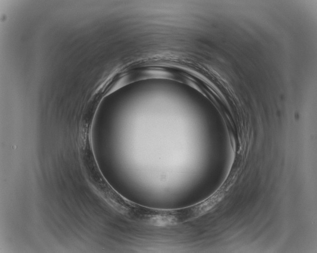 X0000086070168200703301115
