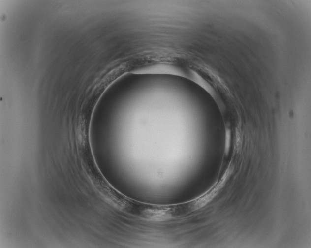 X0000086070170200703301115