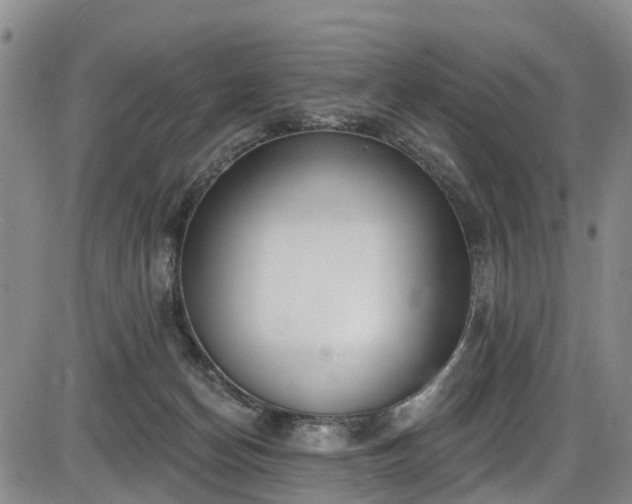 X0000086070174200703301115