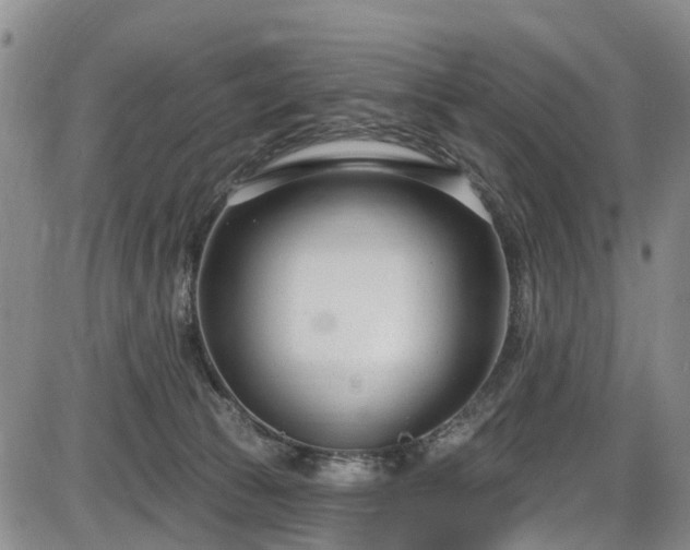 X0000086070177200703301115