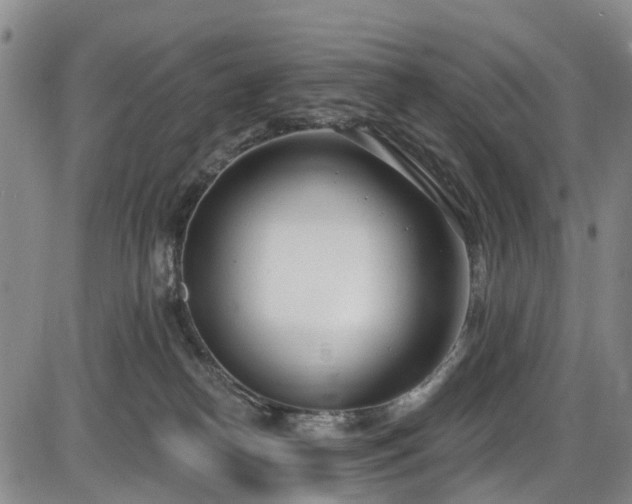 X0000086070182200703301116