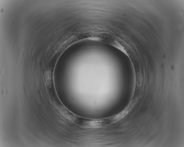 X0000086070184200703301116