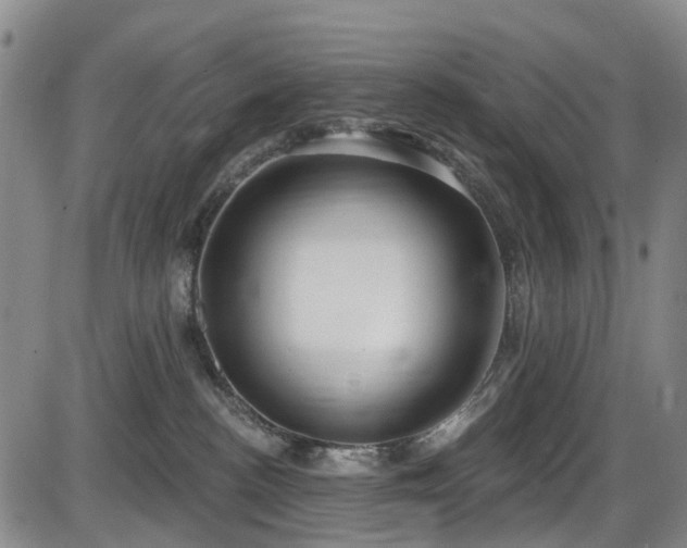 X0000086070188200703301116