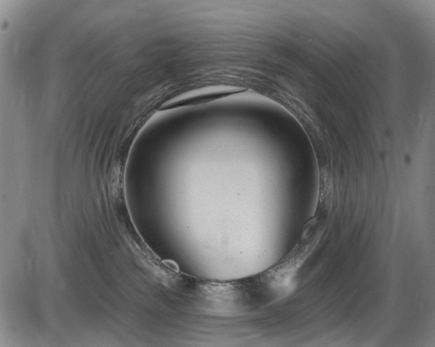 X0000086070189200703301116