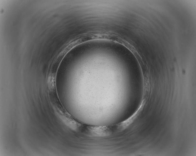 X0000086070191200703301116